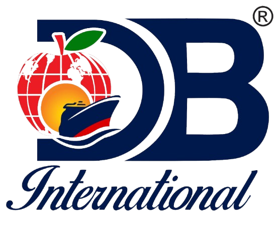 DB International
